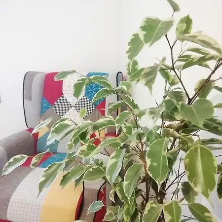 Σπίτι διακοπών Casa Bellini