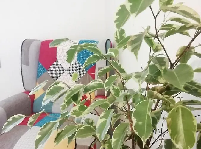 Ferienhaus Casa Bellini